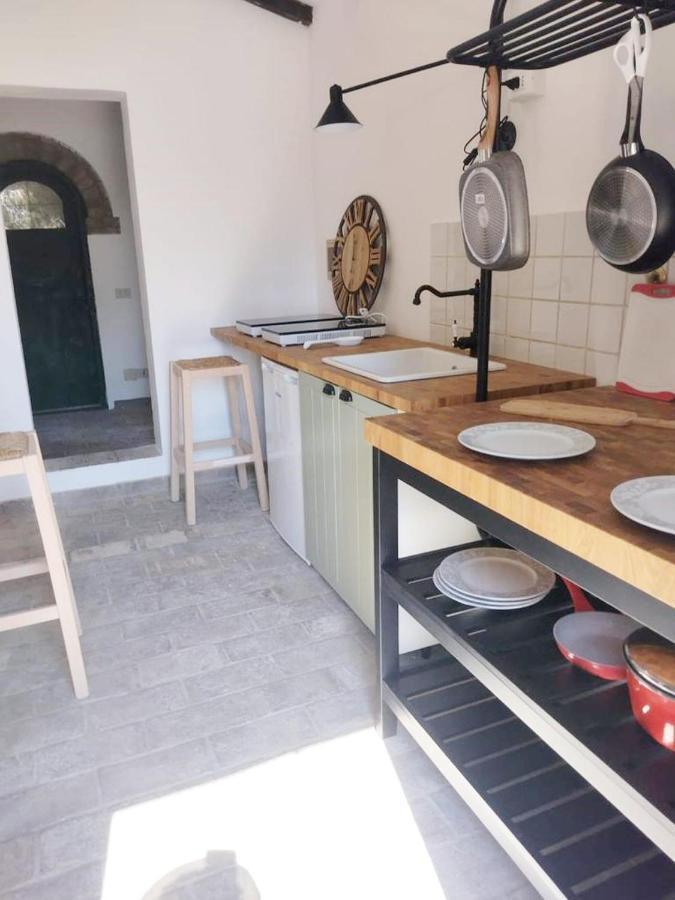 Relais Casale Il Poggetto - Oleandri By Zoom In Earth Apartment Cecina  Luaran gambar